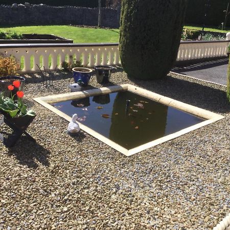 Weir View Bed And Breakfast Durrow Buitenkant foto
