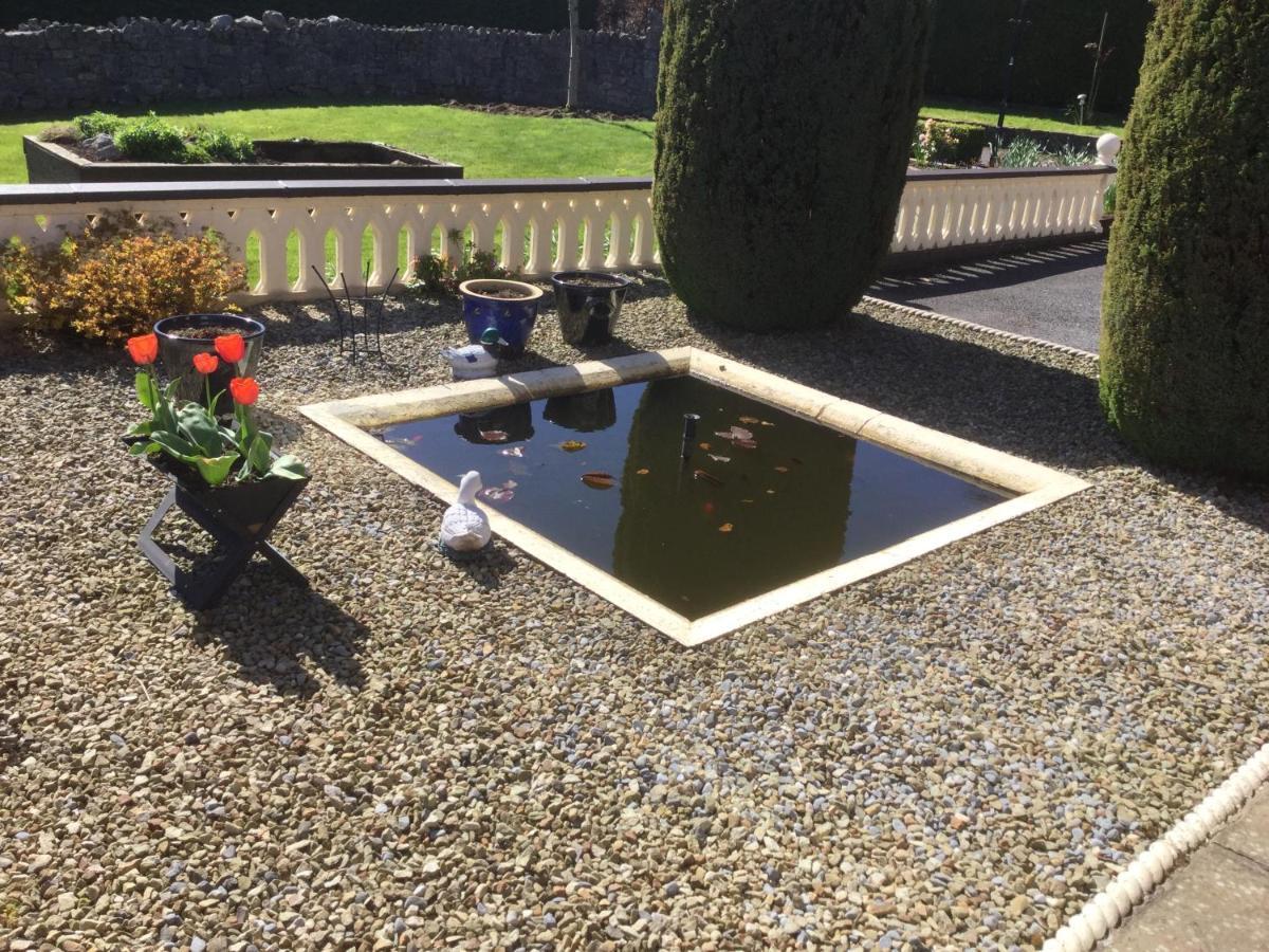 Weir View Bed And Breakfast Durrow Buitenkant foto